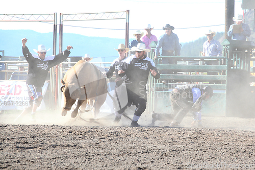 Image of Ty Pozzobon Invitational PBR