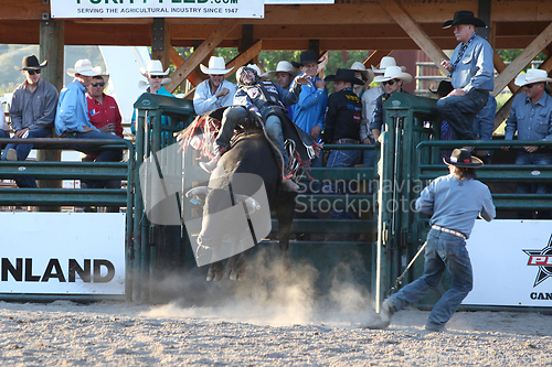 Image of Ty Pozzobon Invitational PBR