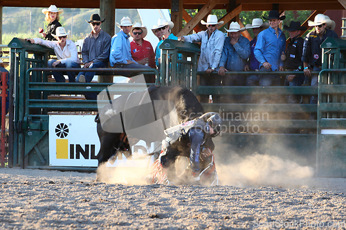 Image of Ty Pozzobon Invitational PBR