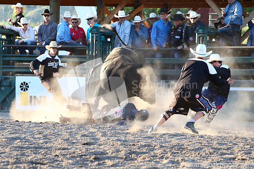 Image of Ty Pozzobon Invitational PBR