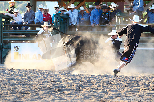 Image of Ty Pozzobon Invitational PBR