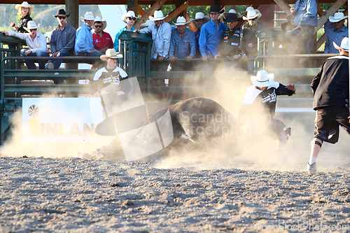 Image of Ty Pozzobon Invitational PBR