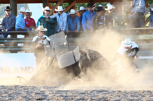 Image of Ty Pozzobon Invitational PBR