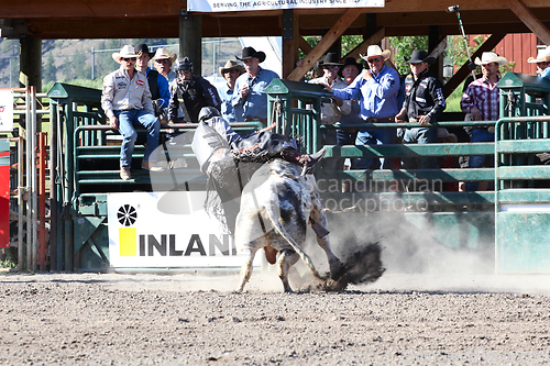 Image of Ty Pozzobon Invitational PBR