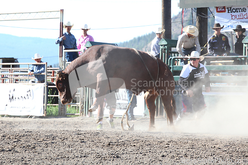 Image of Ty Pozzobon Invitational PBR