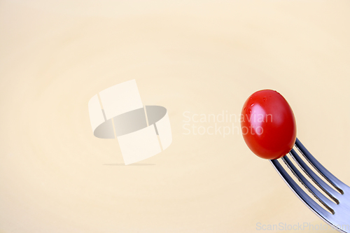 Image of Single Tomato