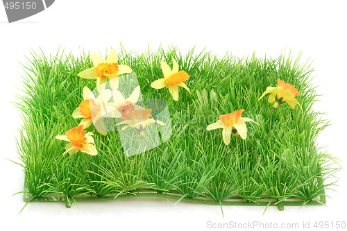 Image of Grass meadow_2