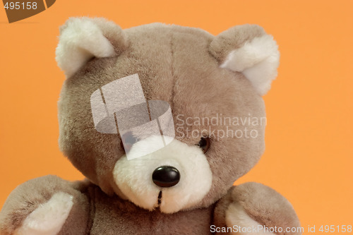 Image of Teddybaer