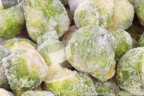 Image of Brussels Sprouts_8