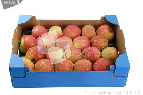 Image of Fresh apples_2