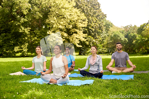 Image of group of people doing yoga at summer park