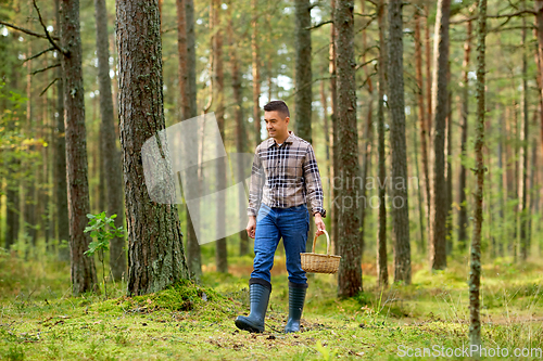 Image of happy man with basket picking mushrooms in forest