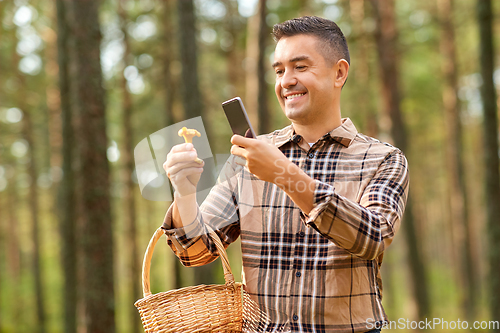 Image of man using smartphone to identify mushroom