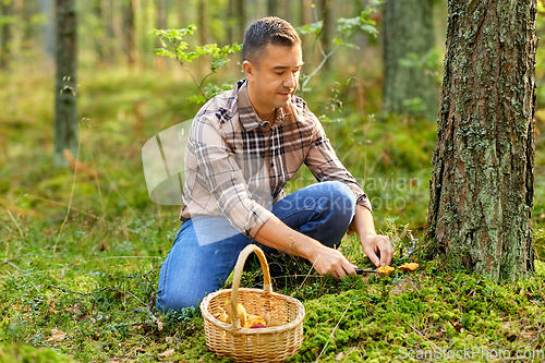 Image of happy man with basket picking mushrooms in forest