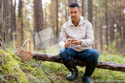 Image of man with basket picking mushrooms in forest