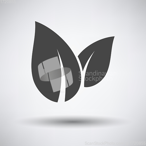 Image of Spa Leaves icon