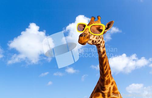 Image of giraffe in sunglasses over blue sky and clouds