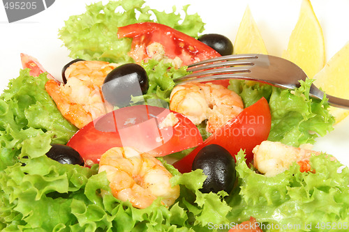 Image of Shrimp salad