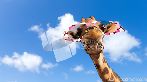 Image of giraffe in sunglasses over blue sky and clouds