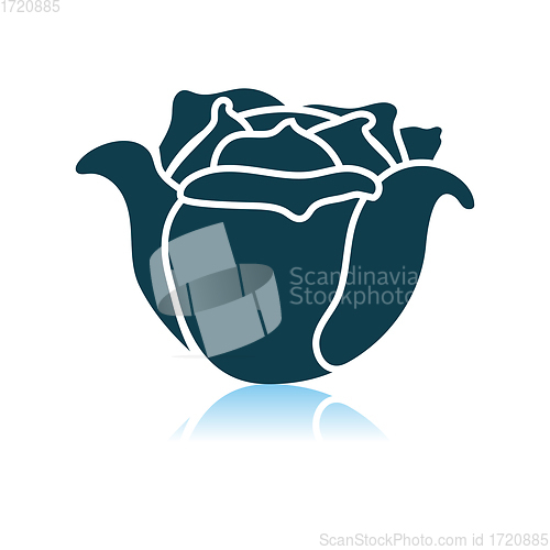 Image of Cabbage Icon On Gray Background