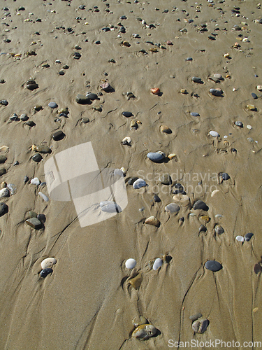 Image of Different sea pebbles on the wet sand on the beach   