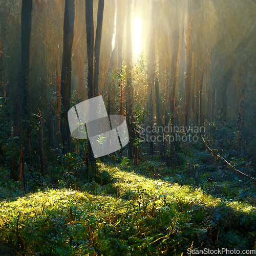 Image of Beautiful sunny morning in magic forest.