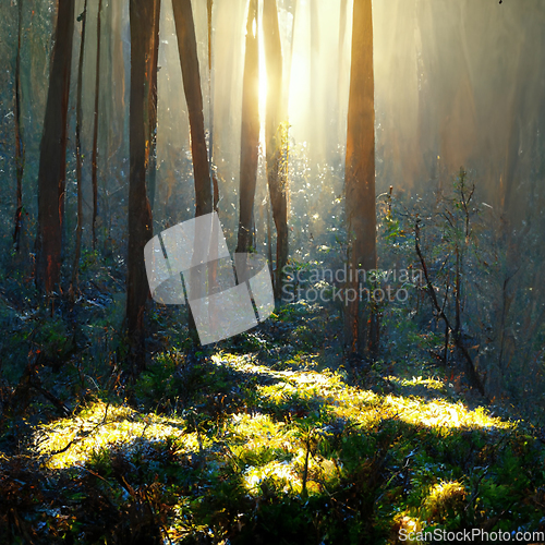 Image of Beautiful sunny morning in magic forest.