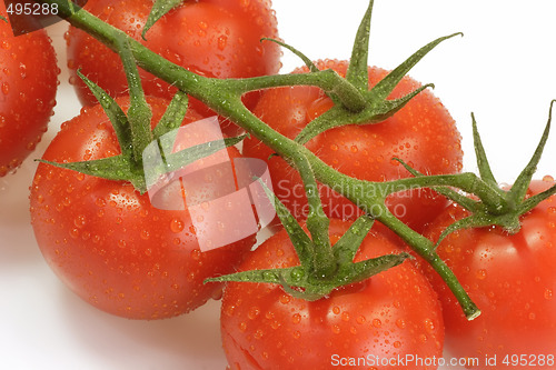 Image of Tomatoes