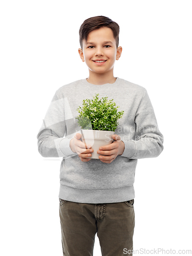 Image of happy smiling boy holding flower in pot