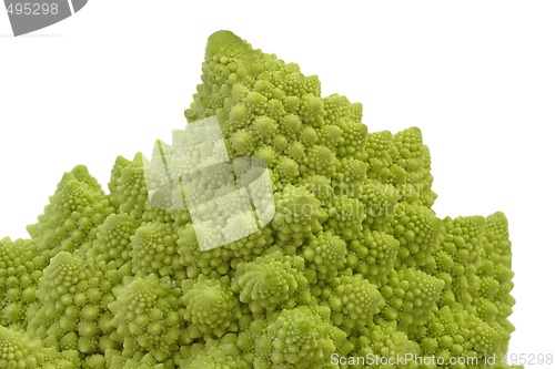 Image of Romanesco_10