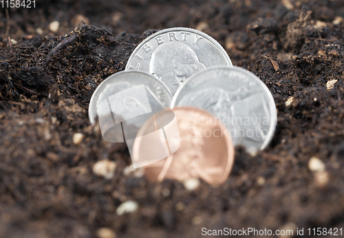 Image of American coins