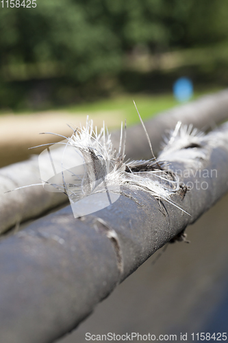 Image of thick large cables