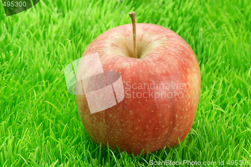 Image of Red apple_2