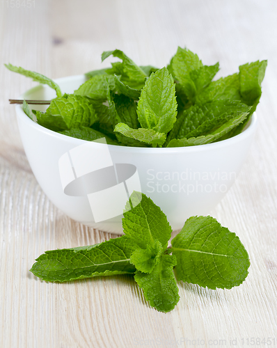 Image of fresh aromatic mint leaves