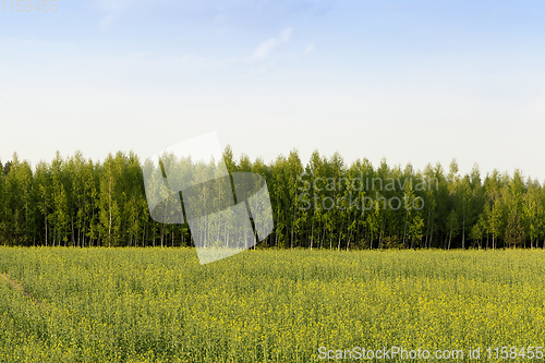 Image of agricultural field