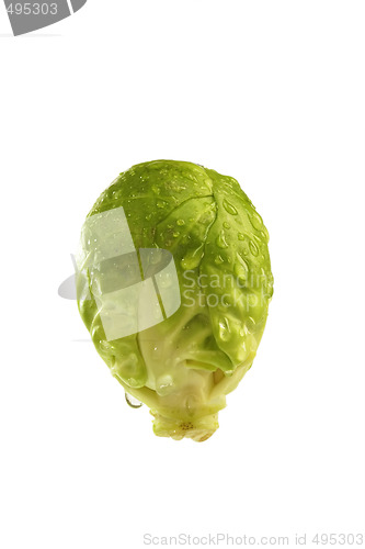 Image of Brussel Sprout