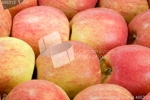 Image of Red apples