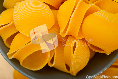 Image of Italian snail lumaconi pasta