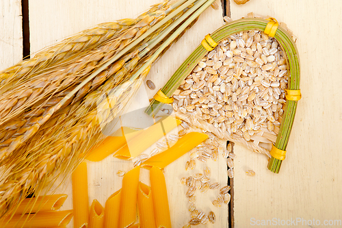 Image of Italian pasta penne with wheat