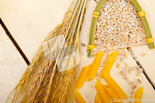 Image of Italian pasta penne with wheat