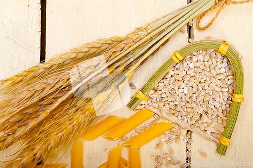 Image of Italian pasta penne with wheat