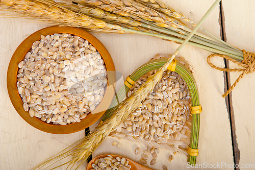 Image of organic barley grains