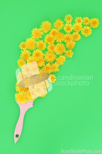 Image of Dandelion Flower Surreal Paintbrush Splash for Natural Herbal Me