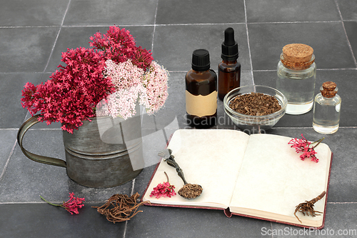 Image of Valerian Root Apothecary Herbal Medicine Preparation 