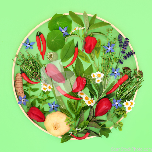 Image of Edible Flowers Herbs and Spice Health Food Seasoning  