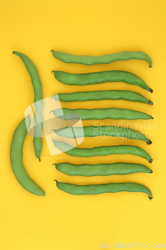 Image of Broad Bean Vegetable Organic Health Food  