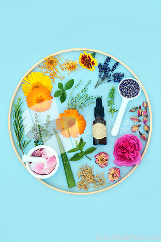 Image of Healing Herbs and Flowers for Natural Skincare Treatments 