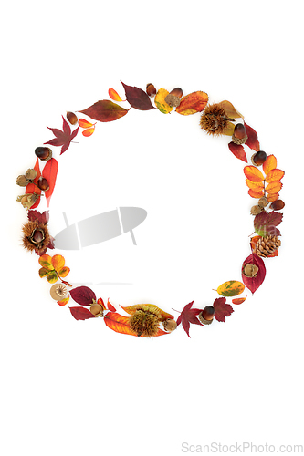 Image of Autumn Wreath of Colourful Leaves and Nuts