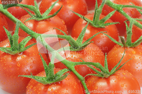 Image of Tomatoes