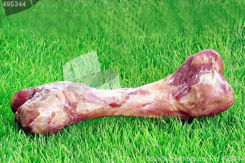 Image of Dog bone